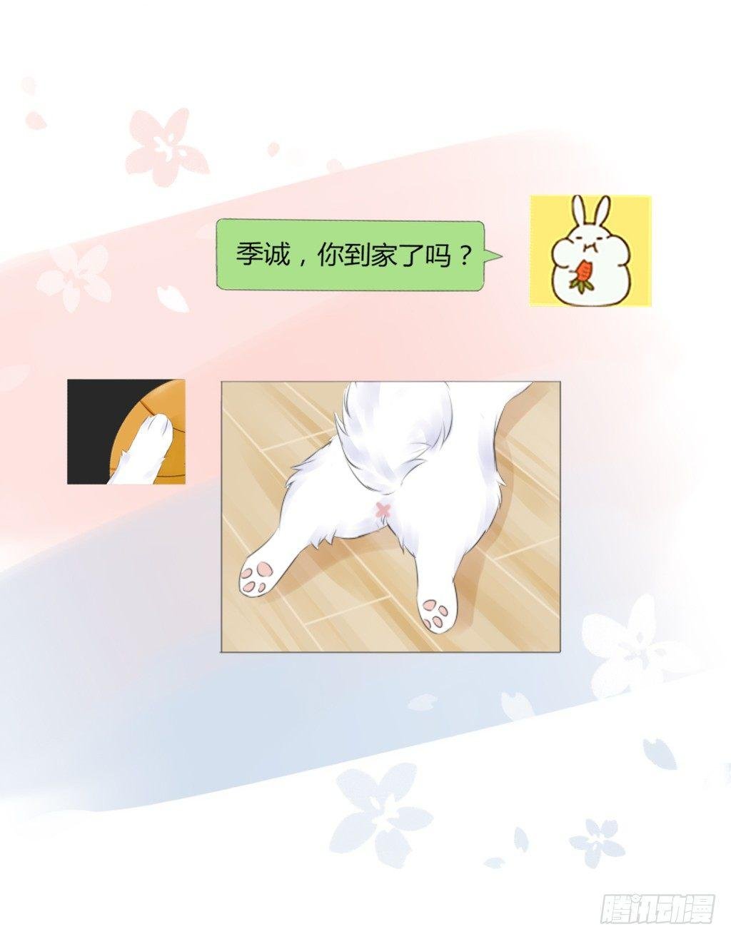 糖