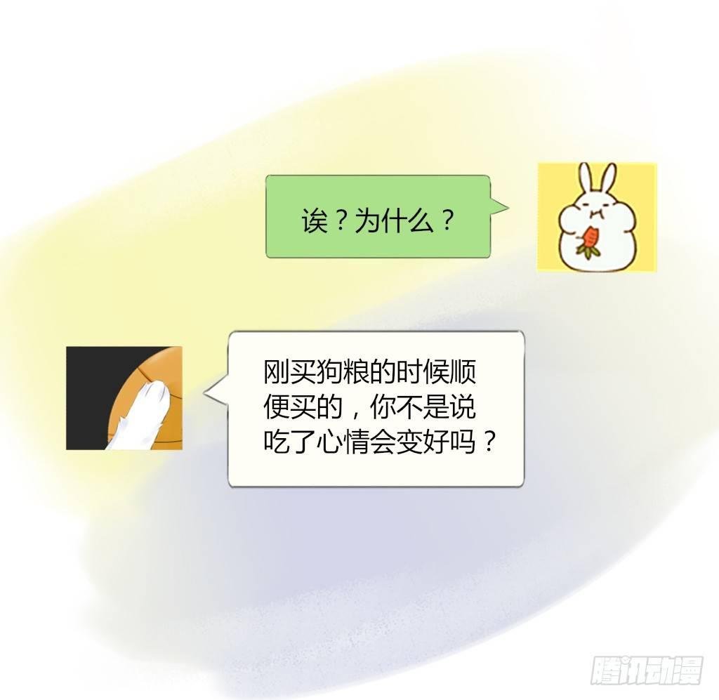 校运会（1）