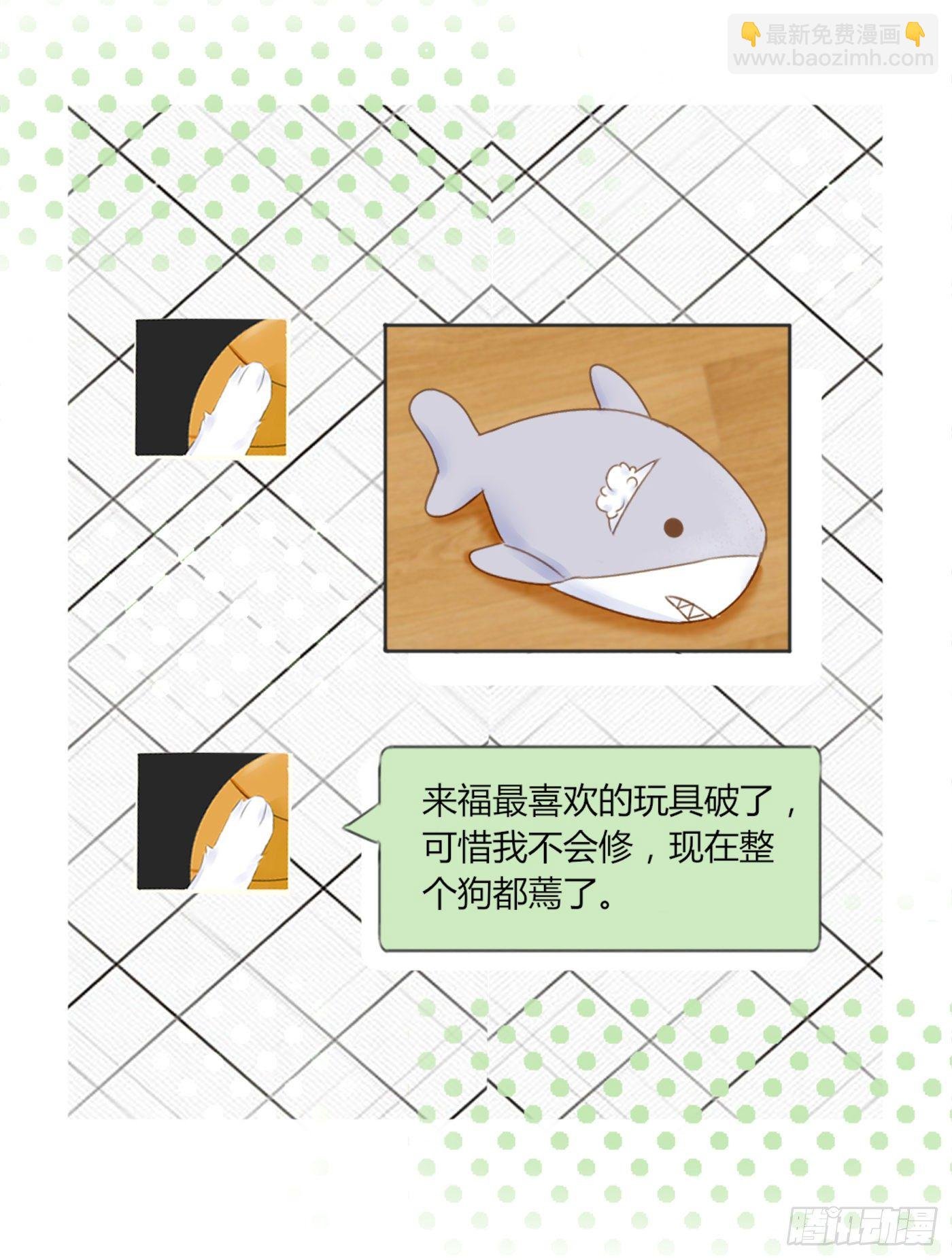 养狗千日