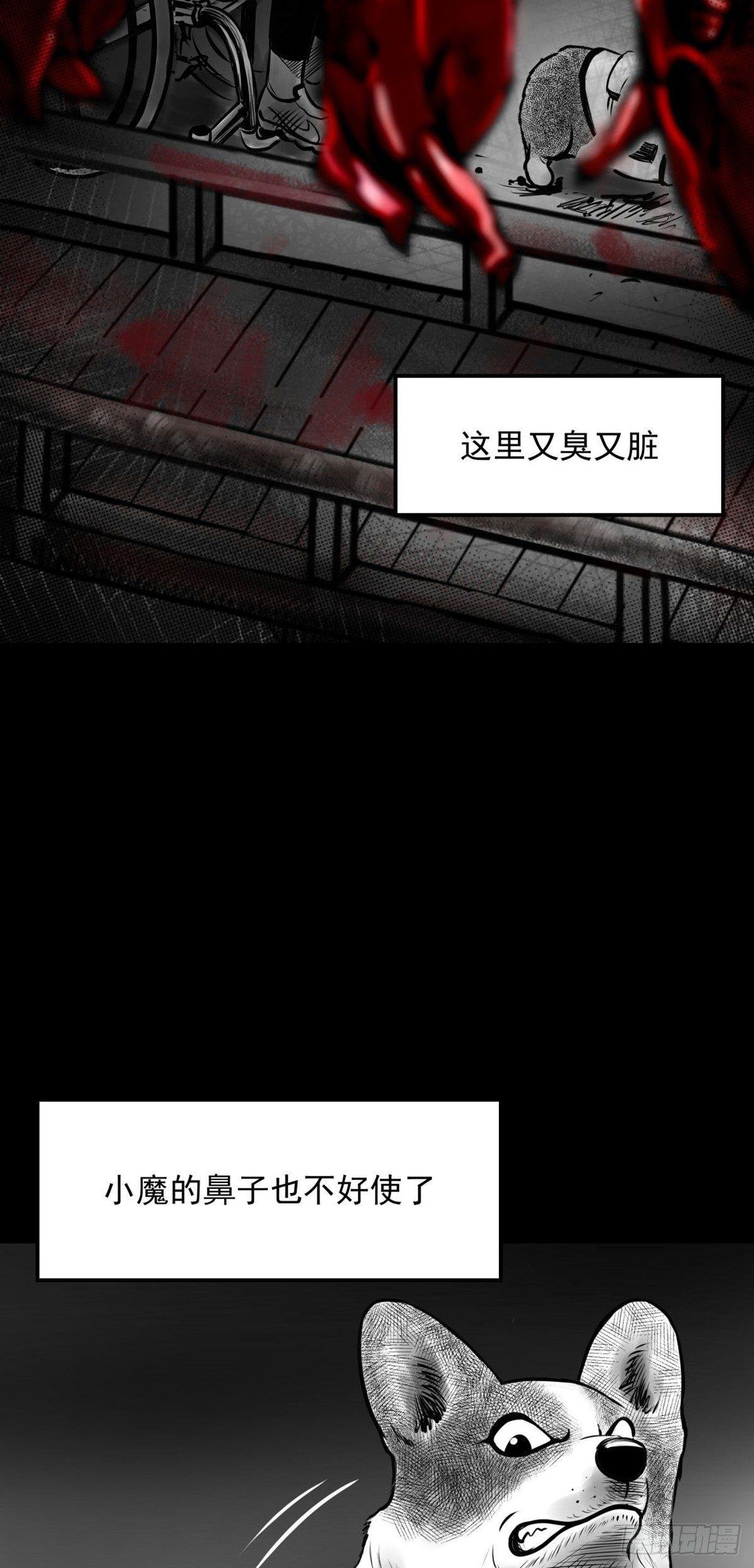 “大飞你快来！”