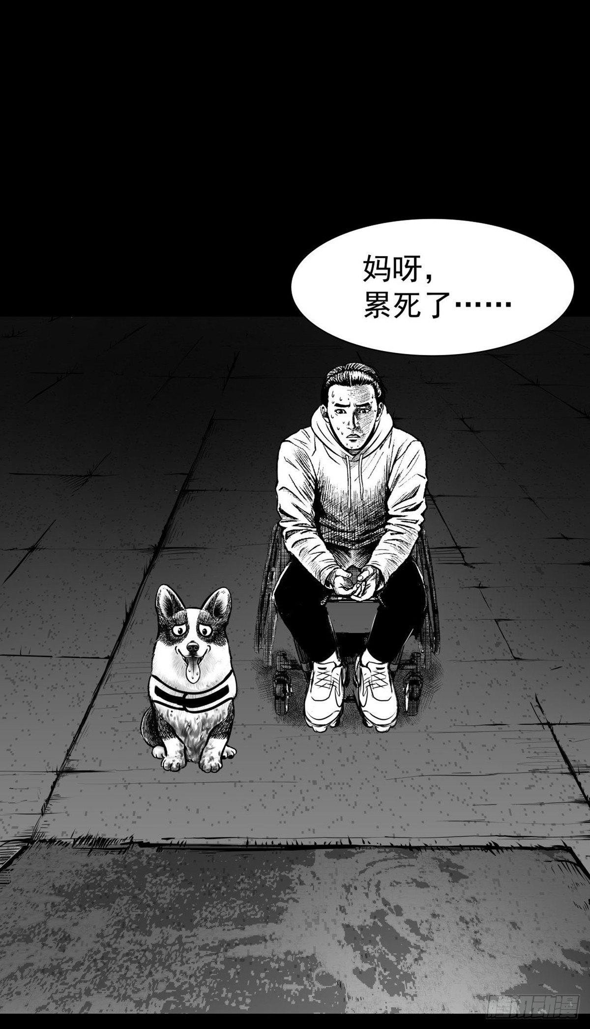 “大飞你快来！”