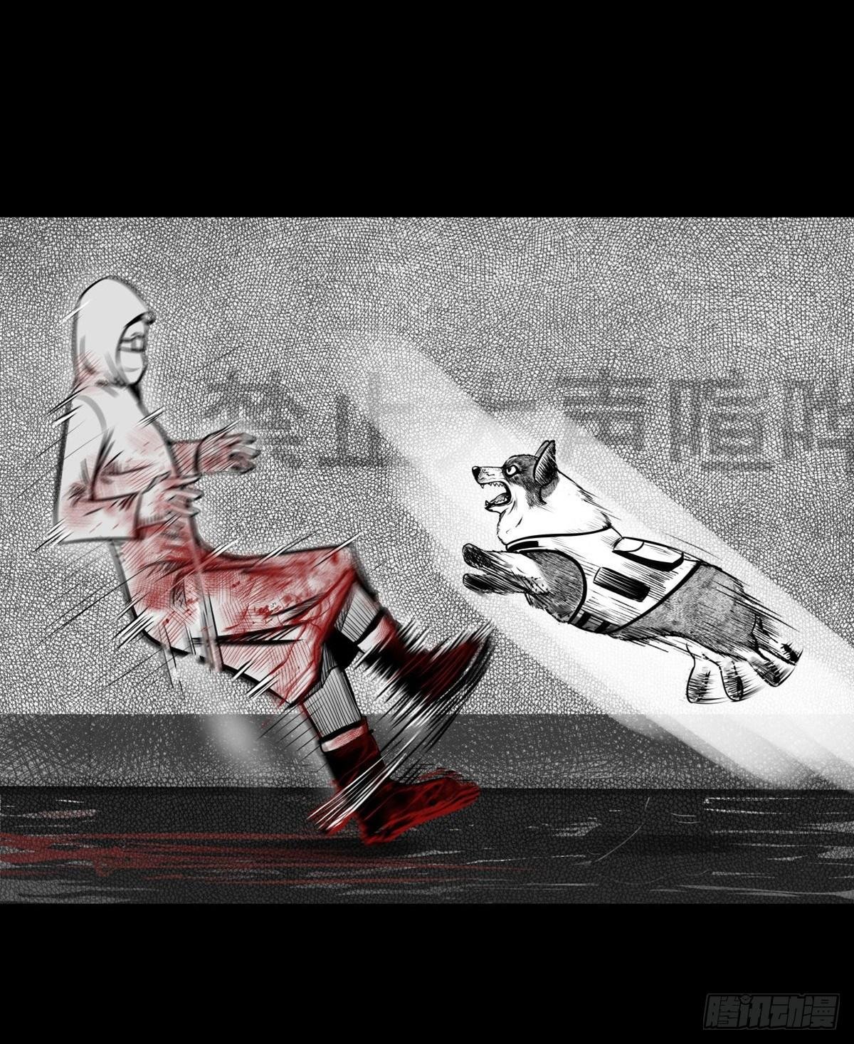 真的很绝望啊