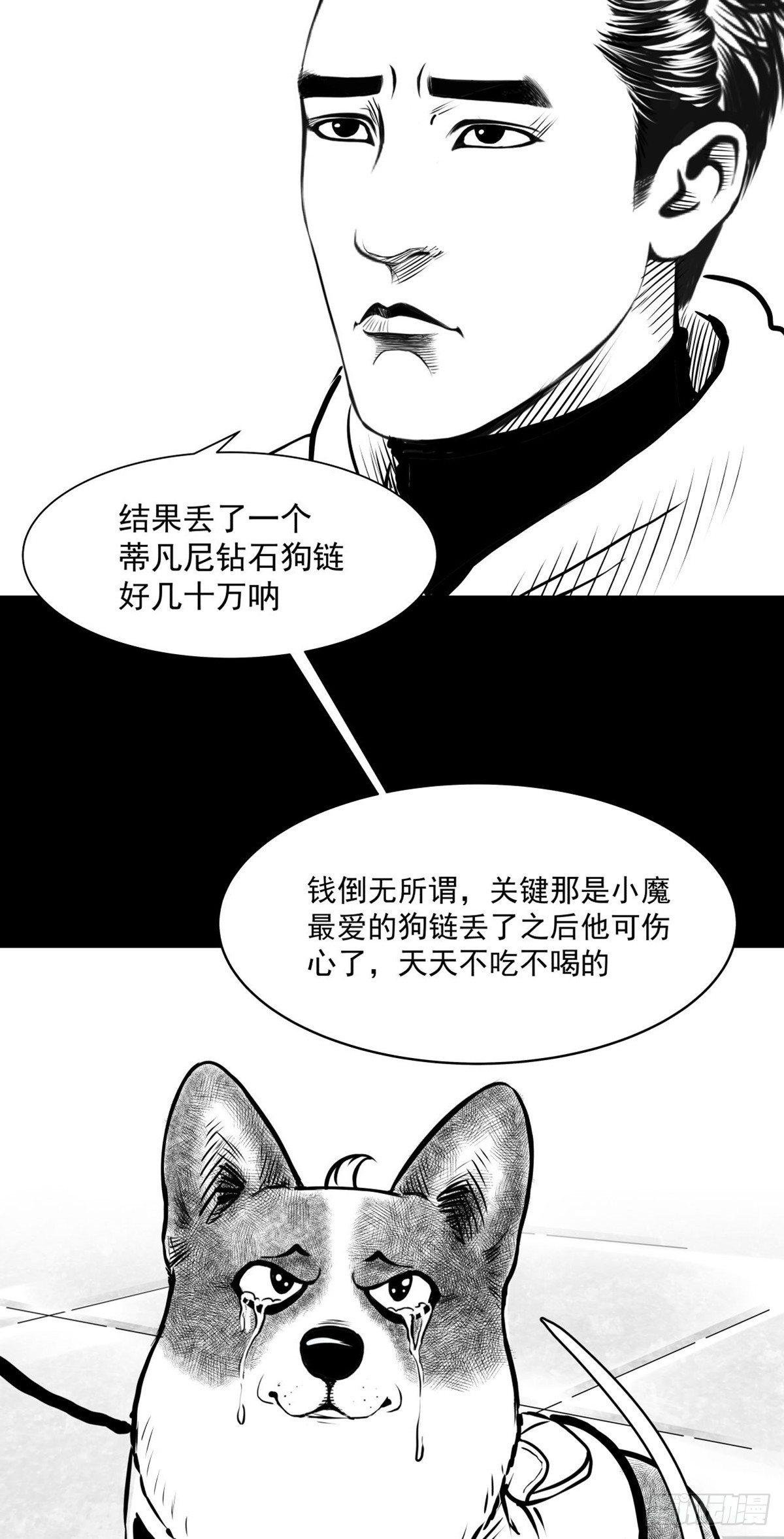 沟通宇宙能量大会