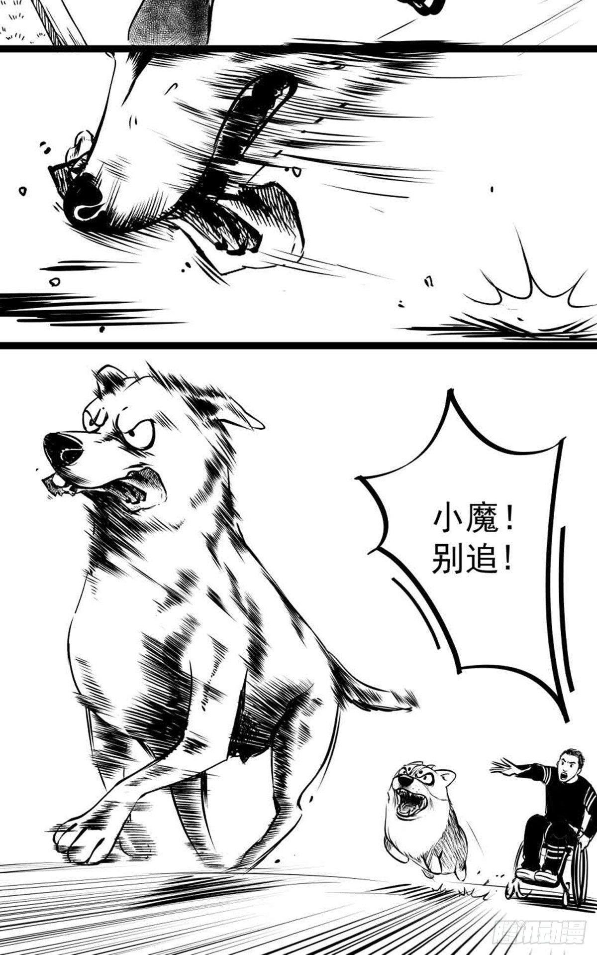 为抢根骨头我坐轮椅追了四条街