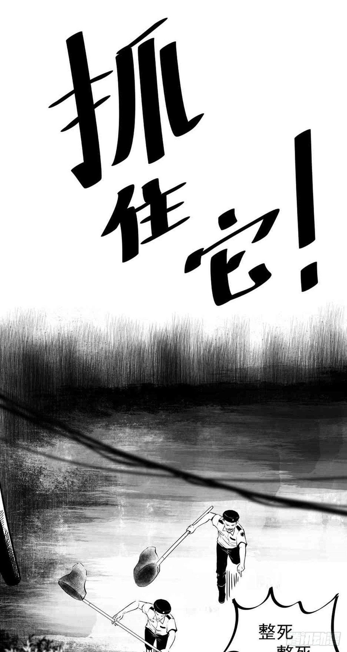 为抢根骨头我坐轮椅追了四条街