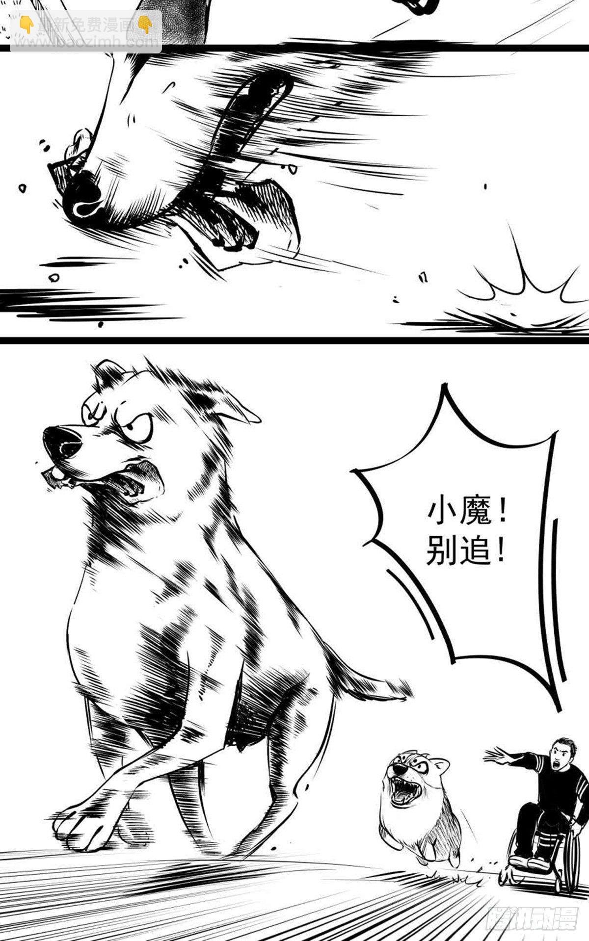 为抢根骨头我坐轮椅追了四条街