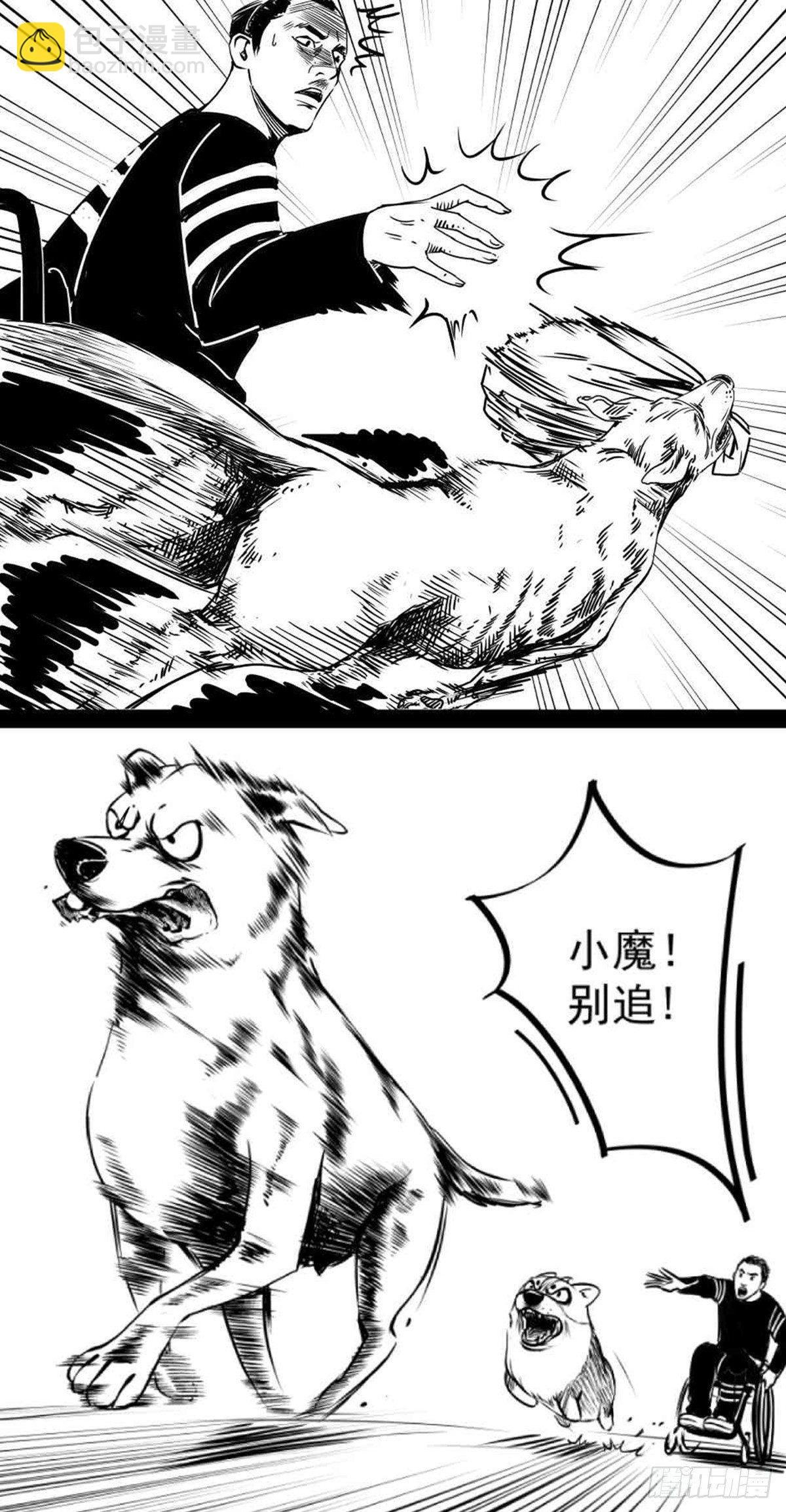 为抢根骨头我坐轮椅追了四条街