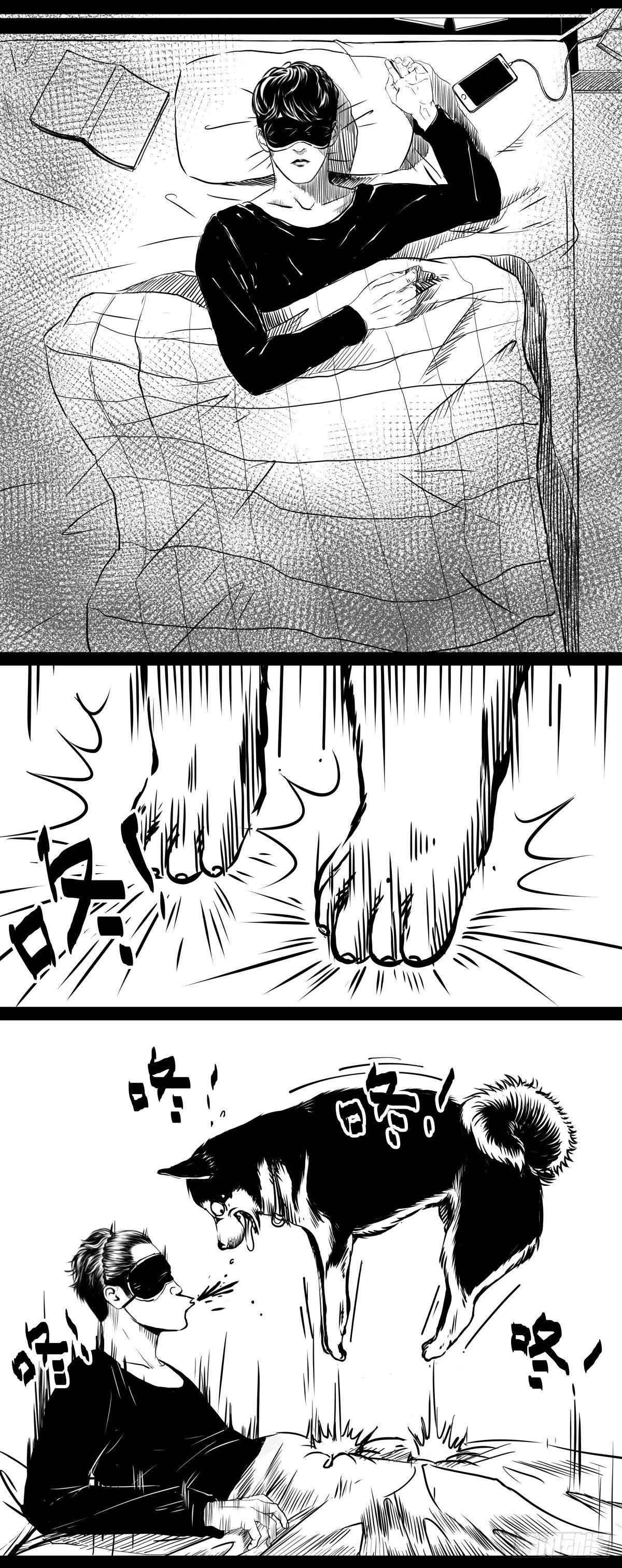 家里有矿啊，敢养哈士奇？