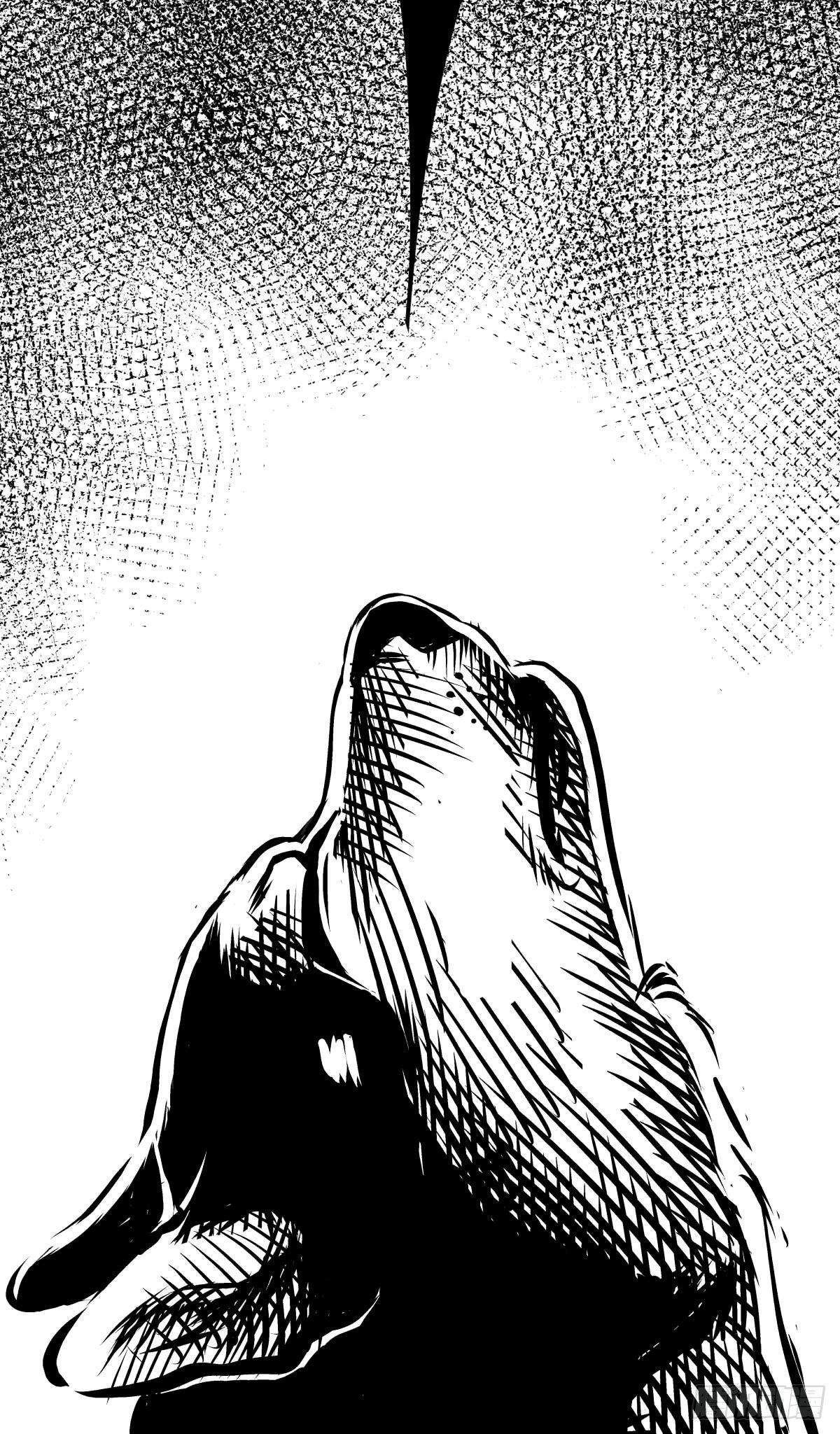 家里有矿啊，敢养哈士奇？