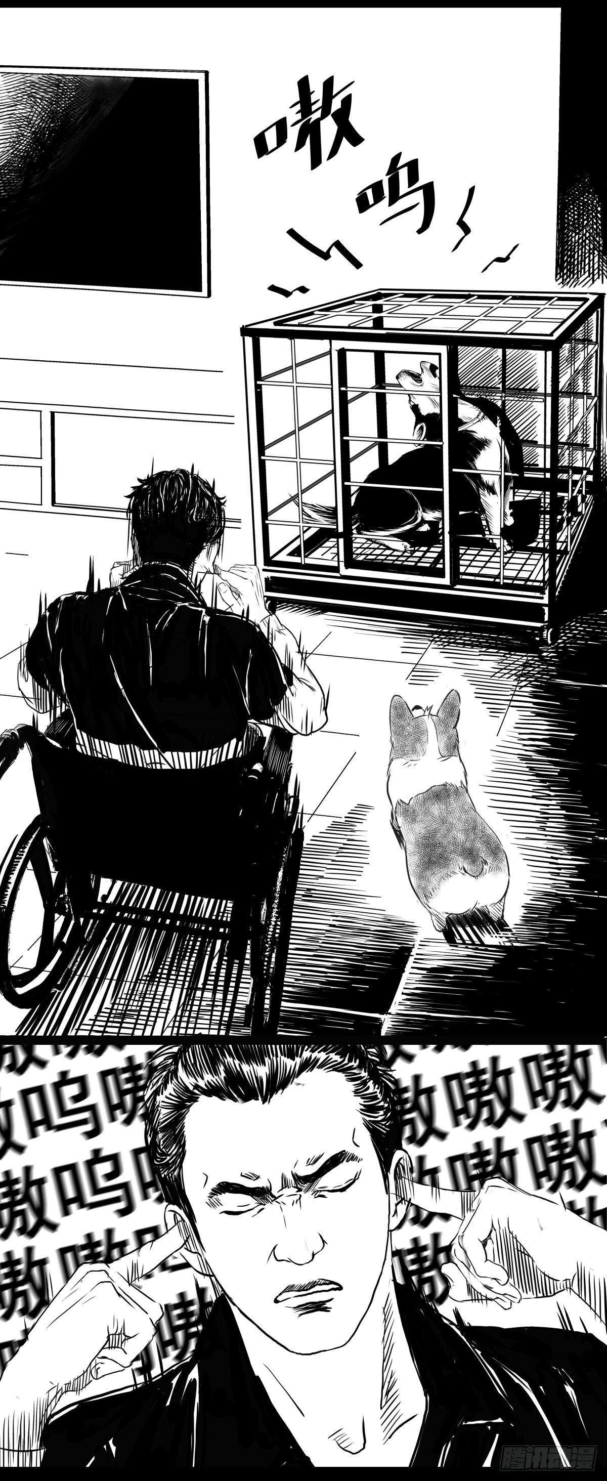 家里有矿啊，敢养哈士奇？