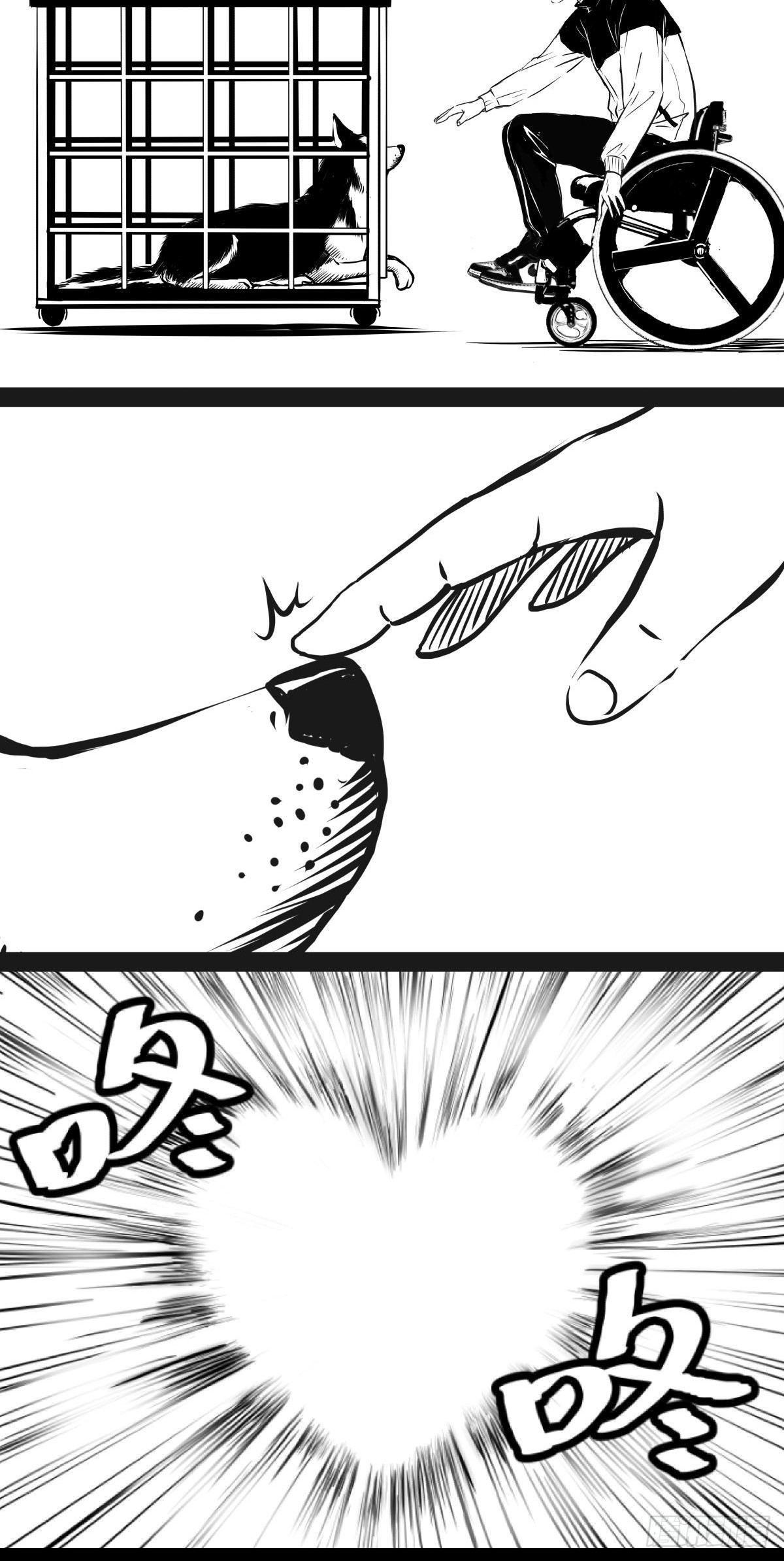 家里有矿啊，敢养哈士奇？