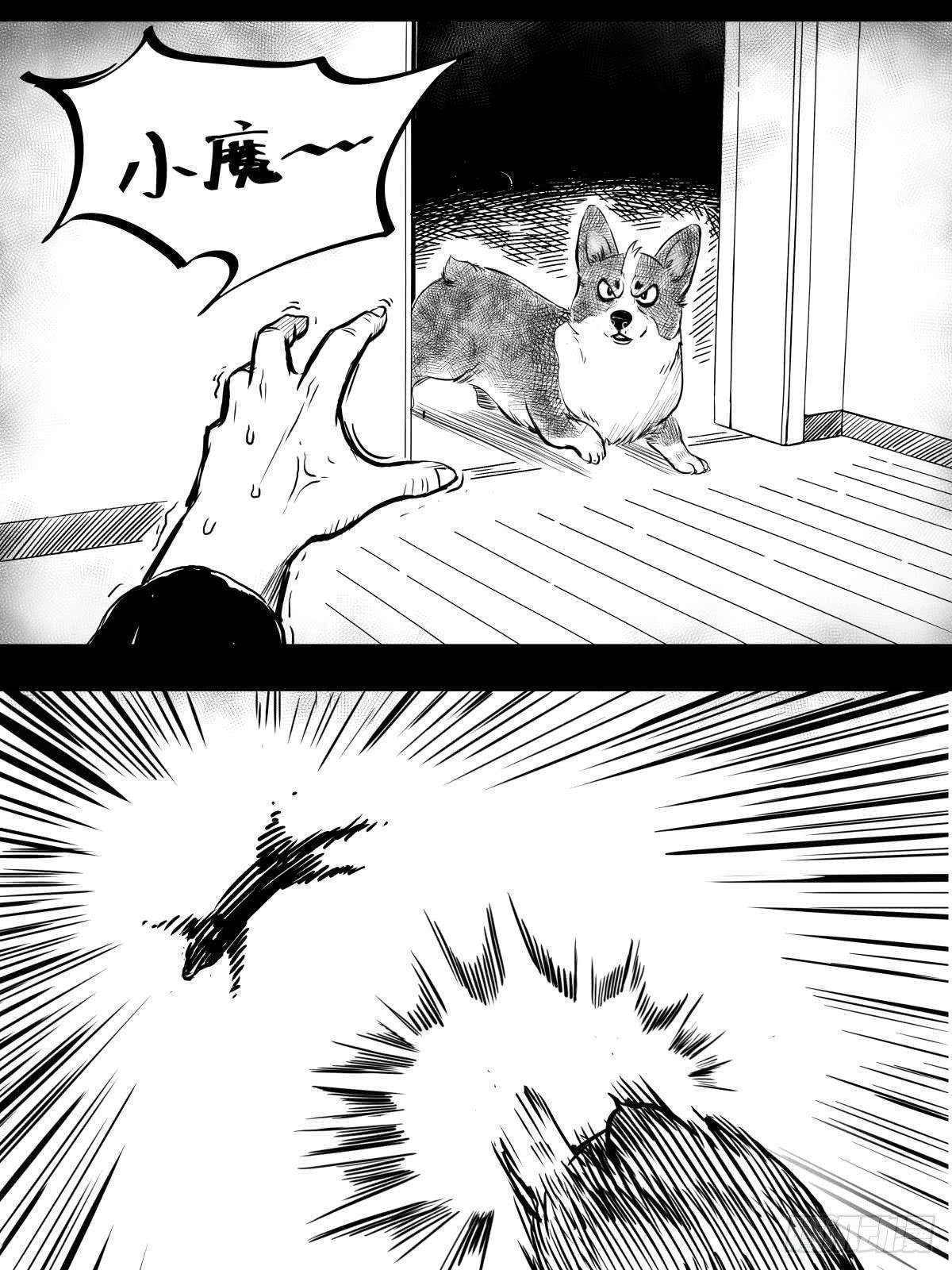 家里有矿啊，敢养哈士奇？