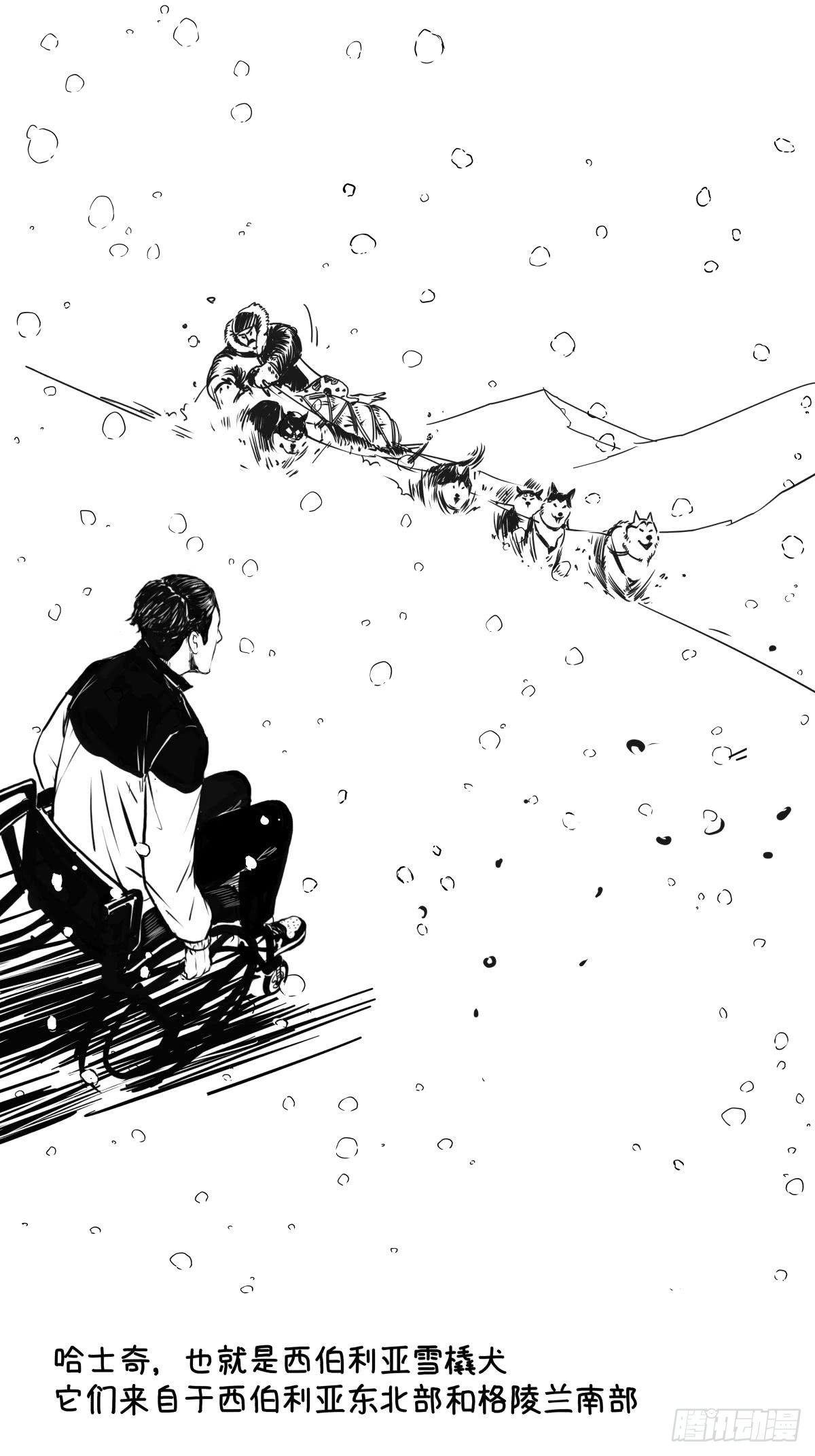 家里有矿啊，敢养哈士奇？
