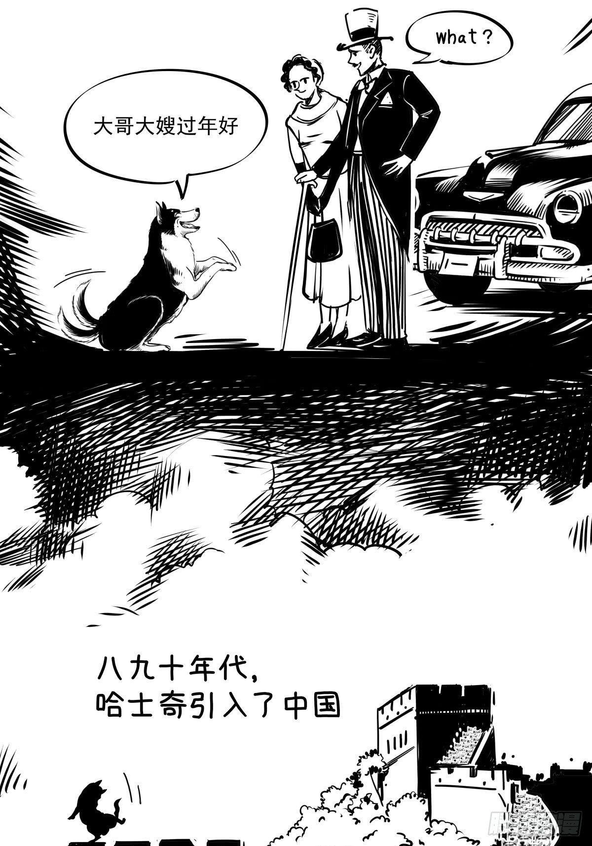 家里有矿啊，敢养哈士奇？
