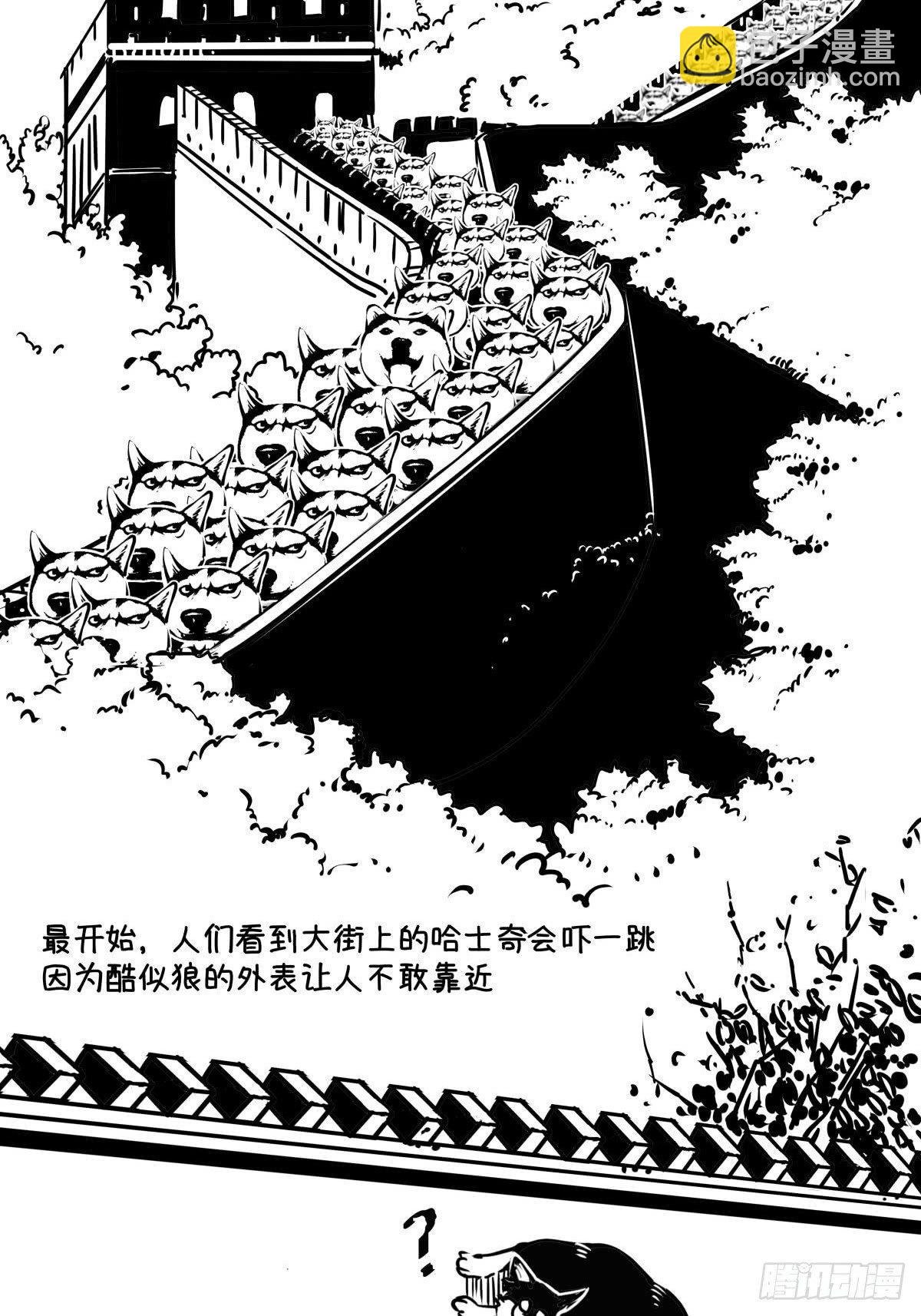 家里有矿啊，敢养哈士奇？