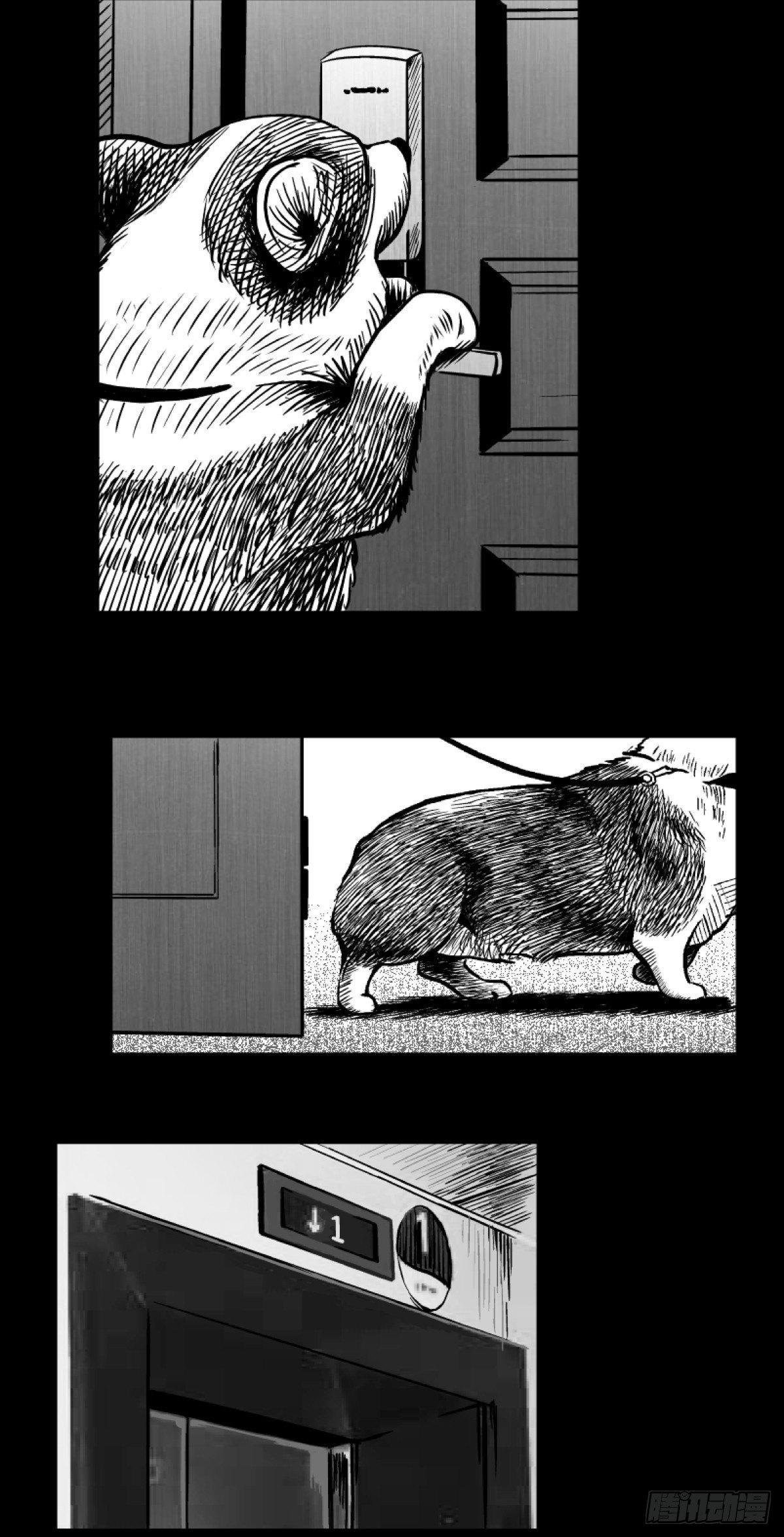 柯基公交车上抓色狼