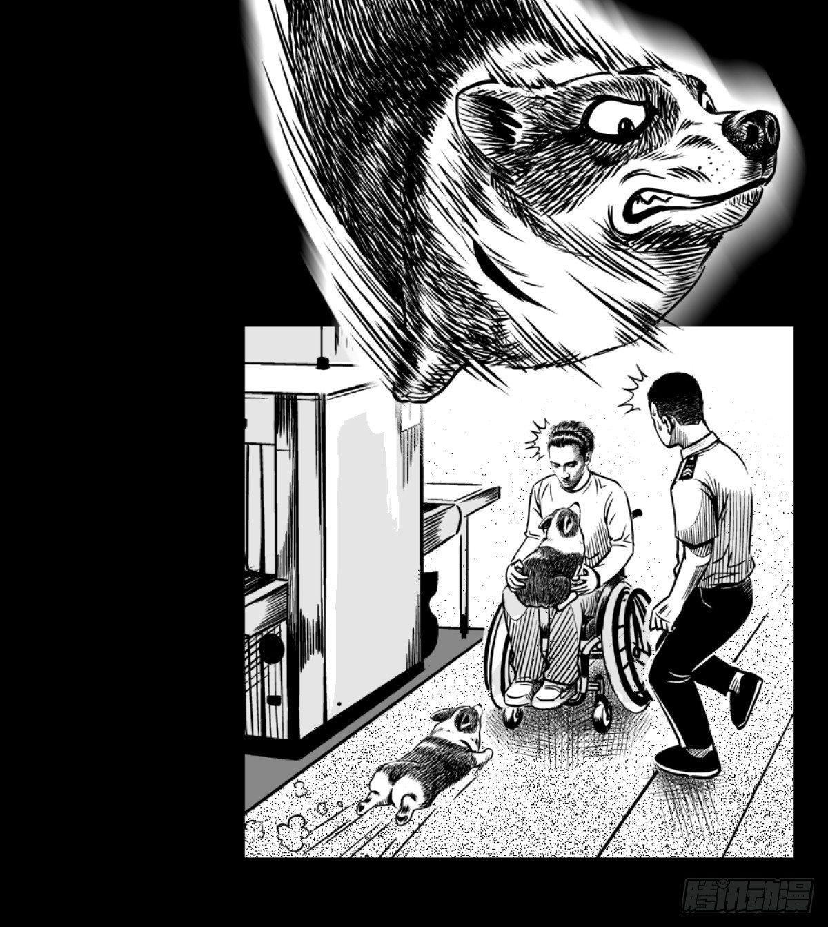 柯基公交车上抓色狼