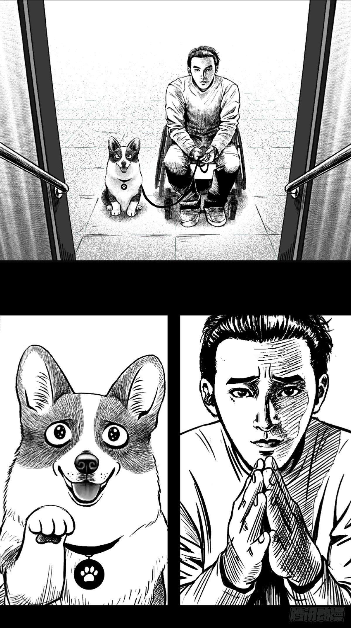 柯基公交车上抓色狼