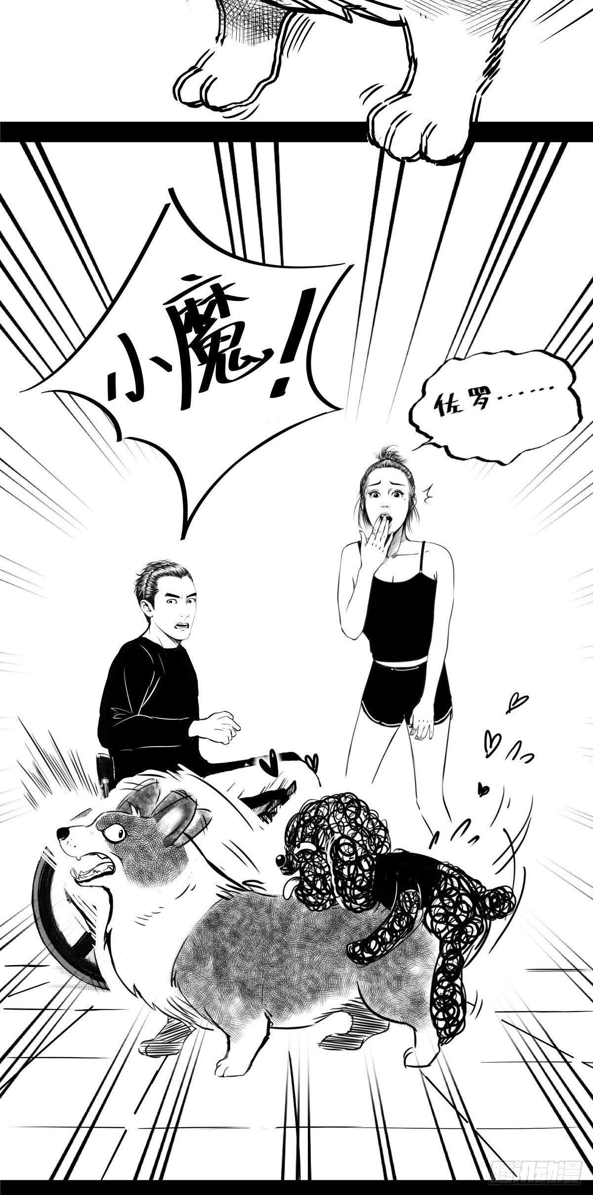 把根留住！