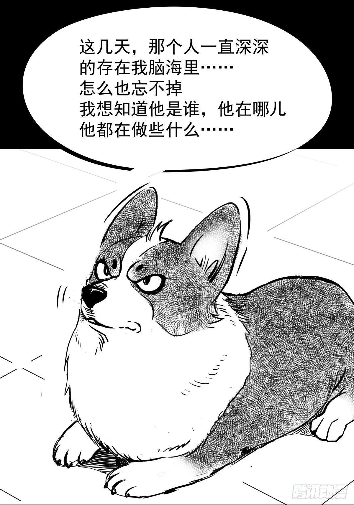 十三陵的梦中情人