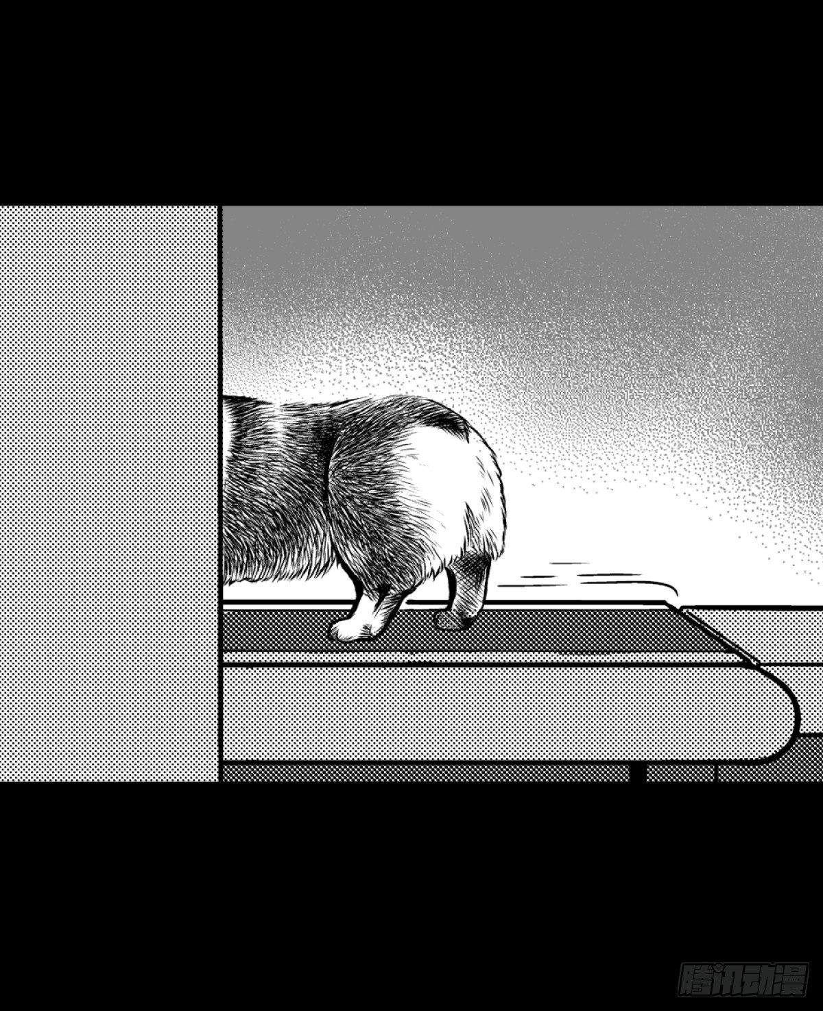 柯基公交车上抓色狼