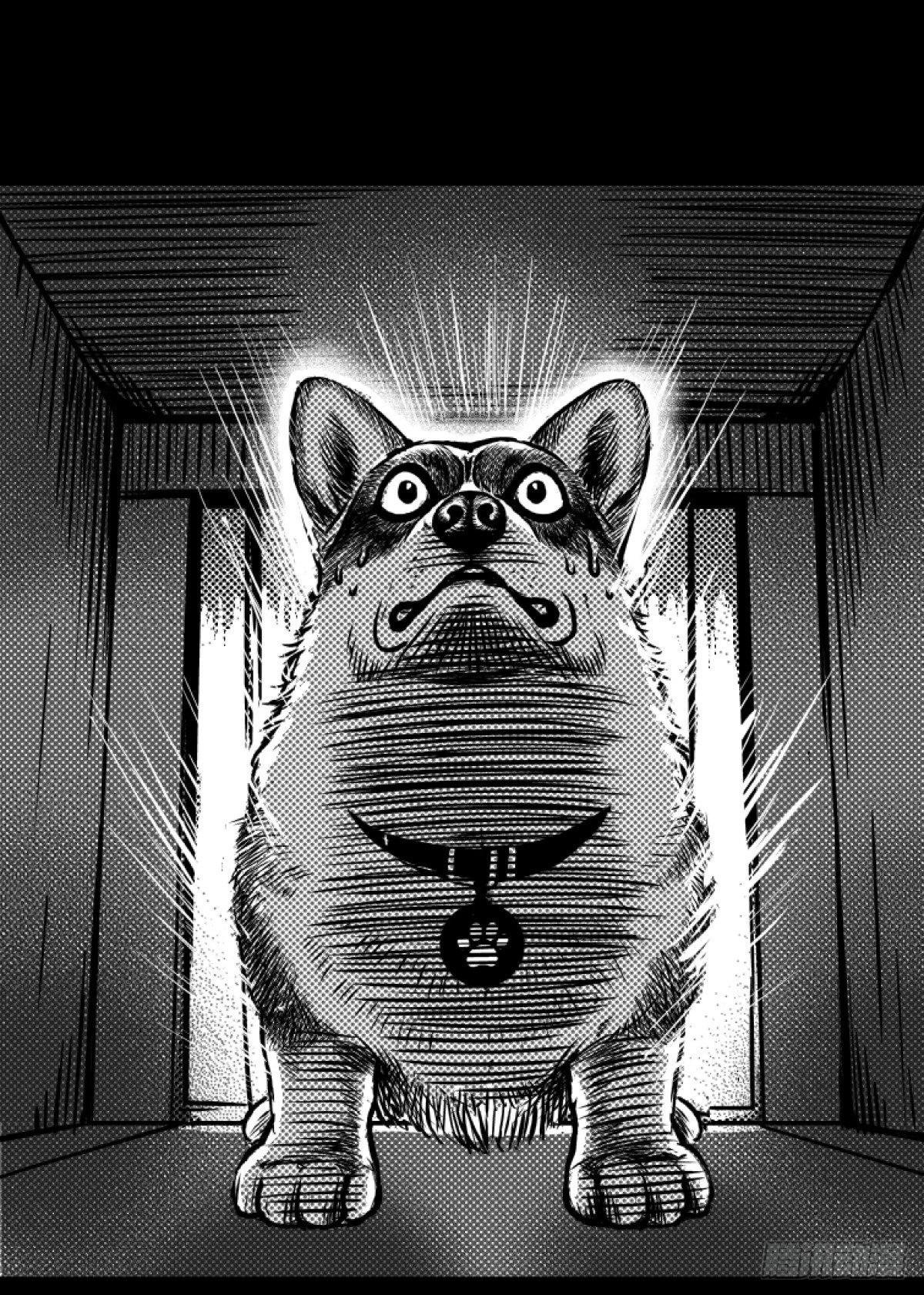柯基公交车上抓色狼