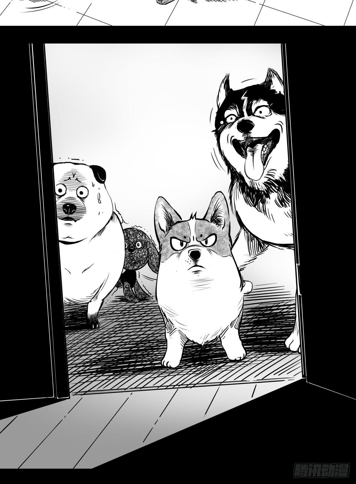 最后的耍猴人