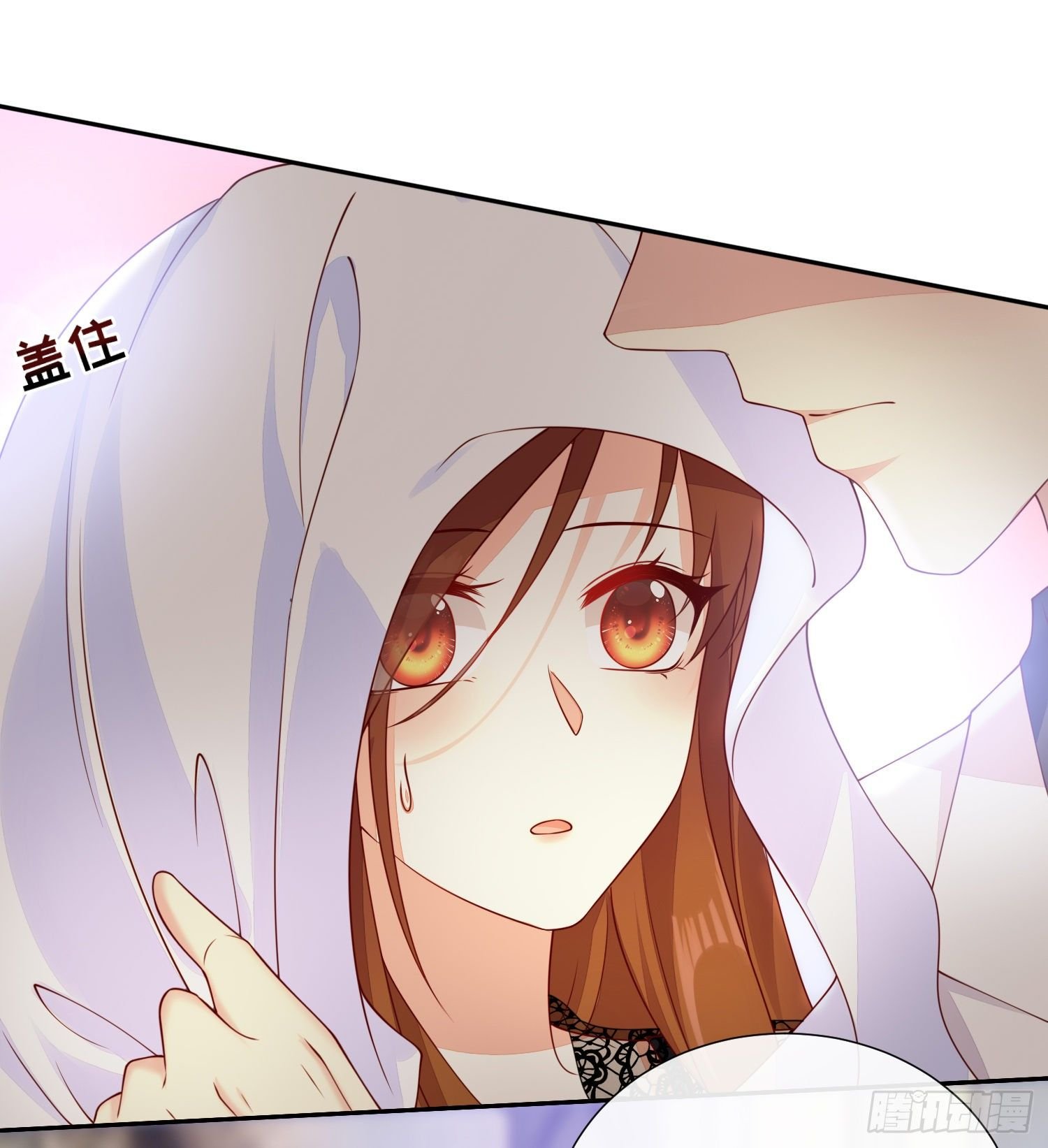 017 正牌女友