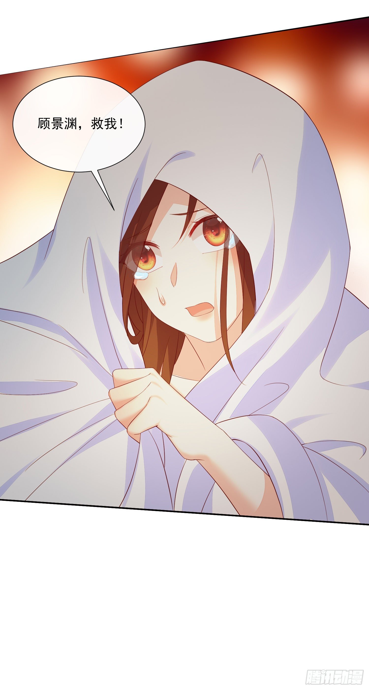 017 正牌女友