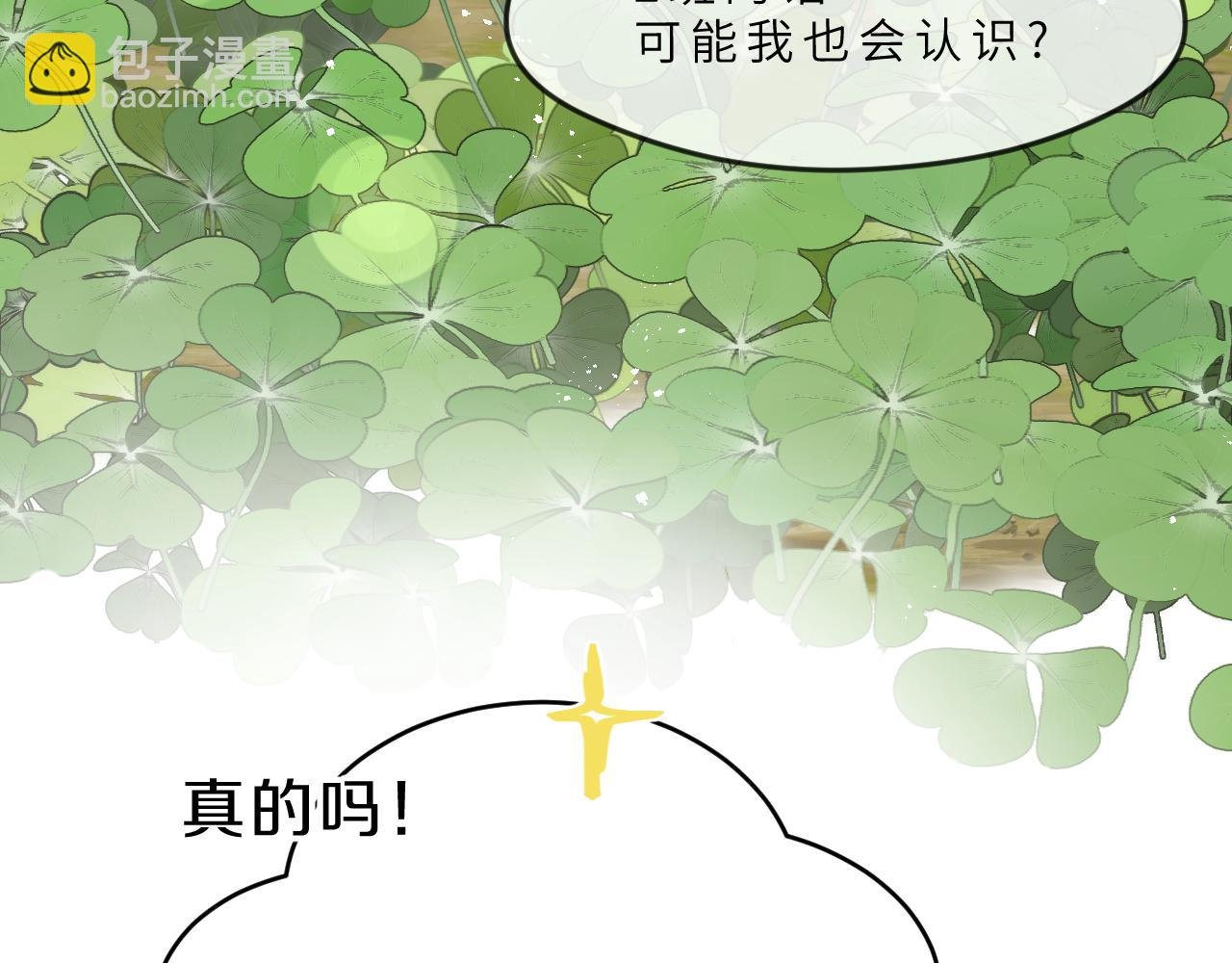 第8话 四叶草的秘密