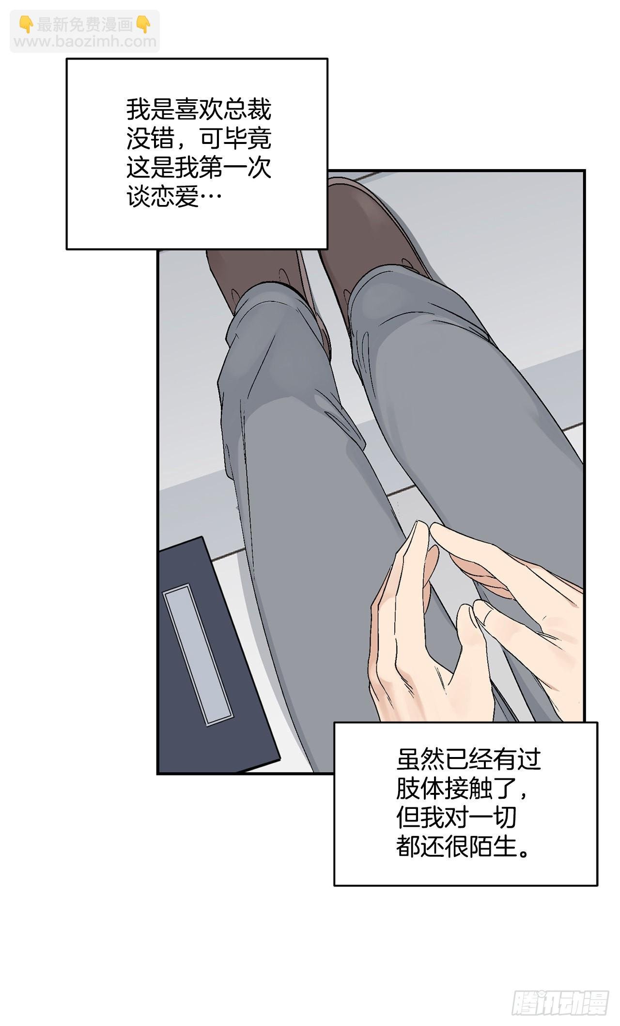 35.总裁家里