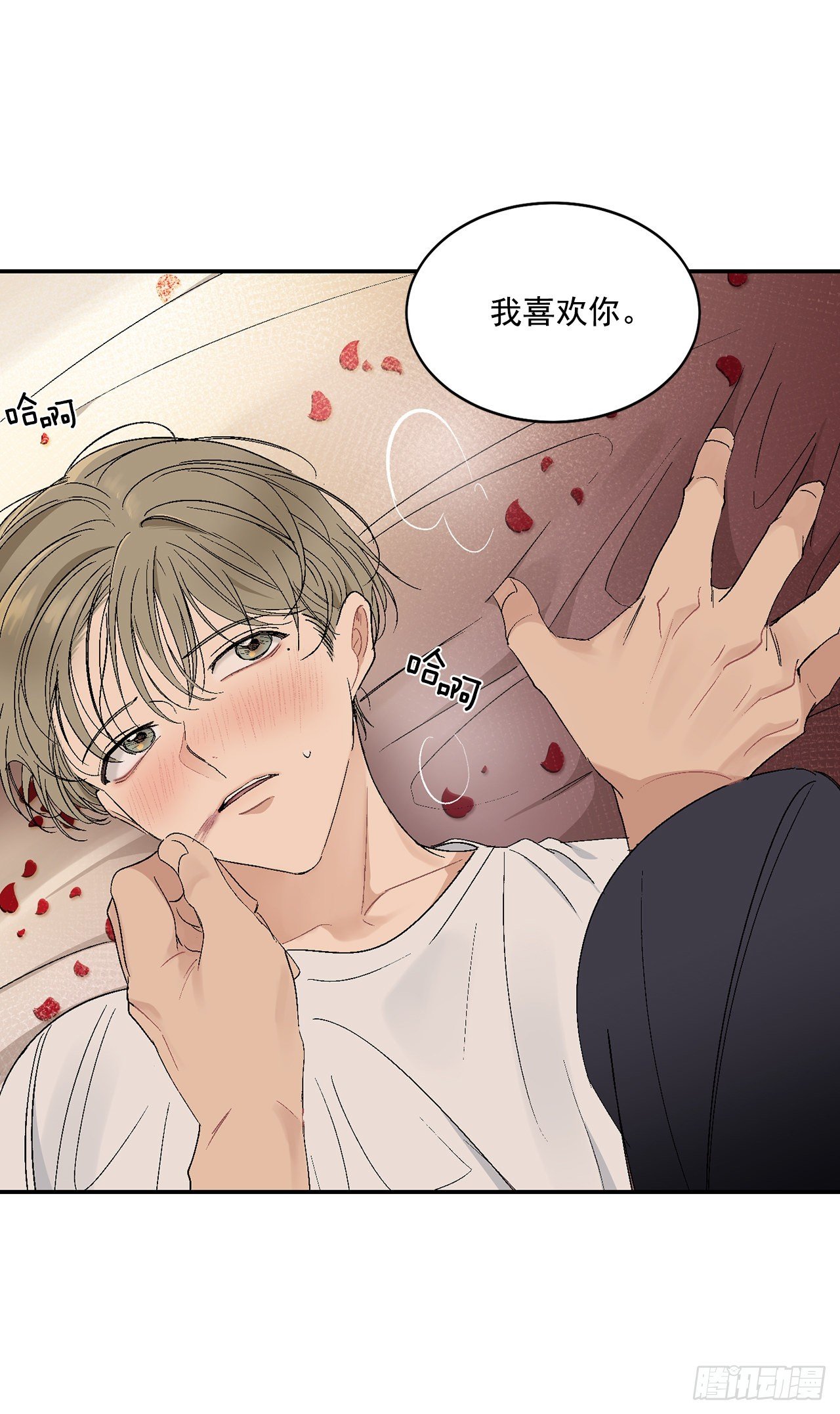 37.总裁的喜好
