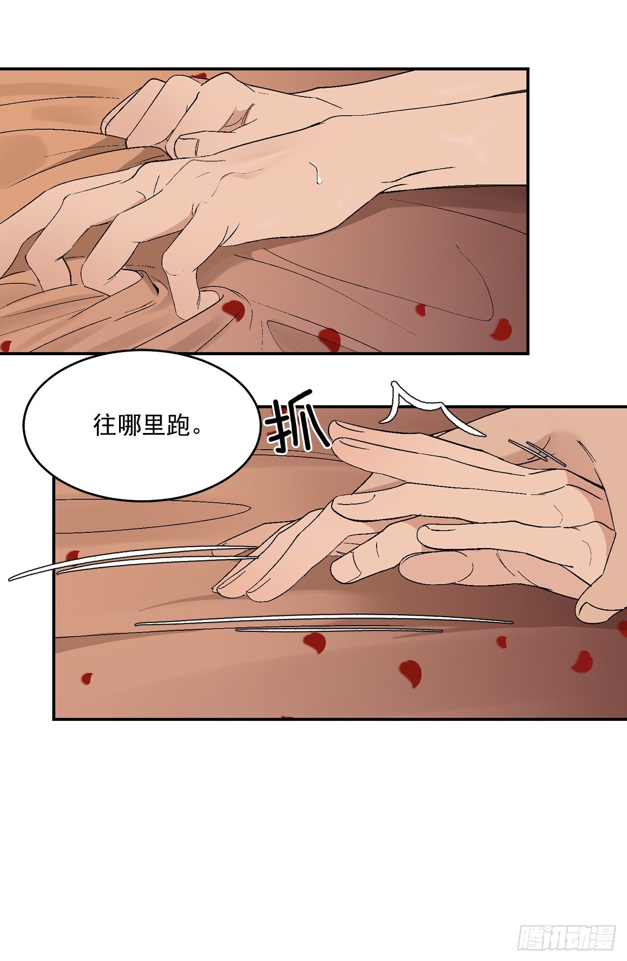 37.总裁的喜好