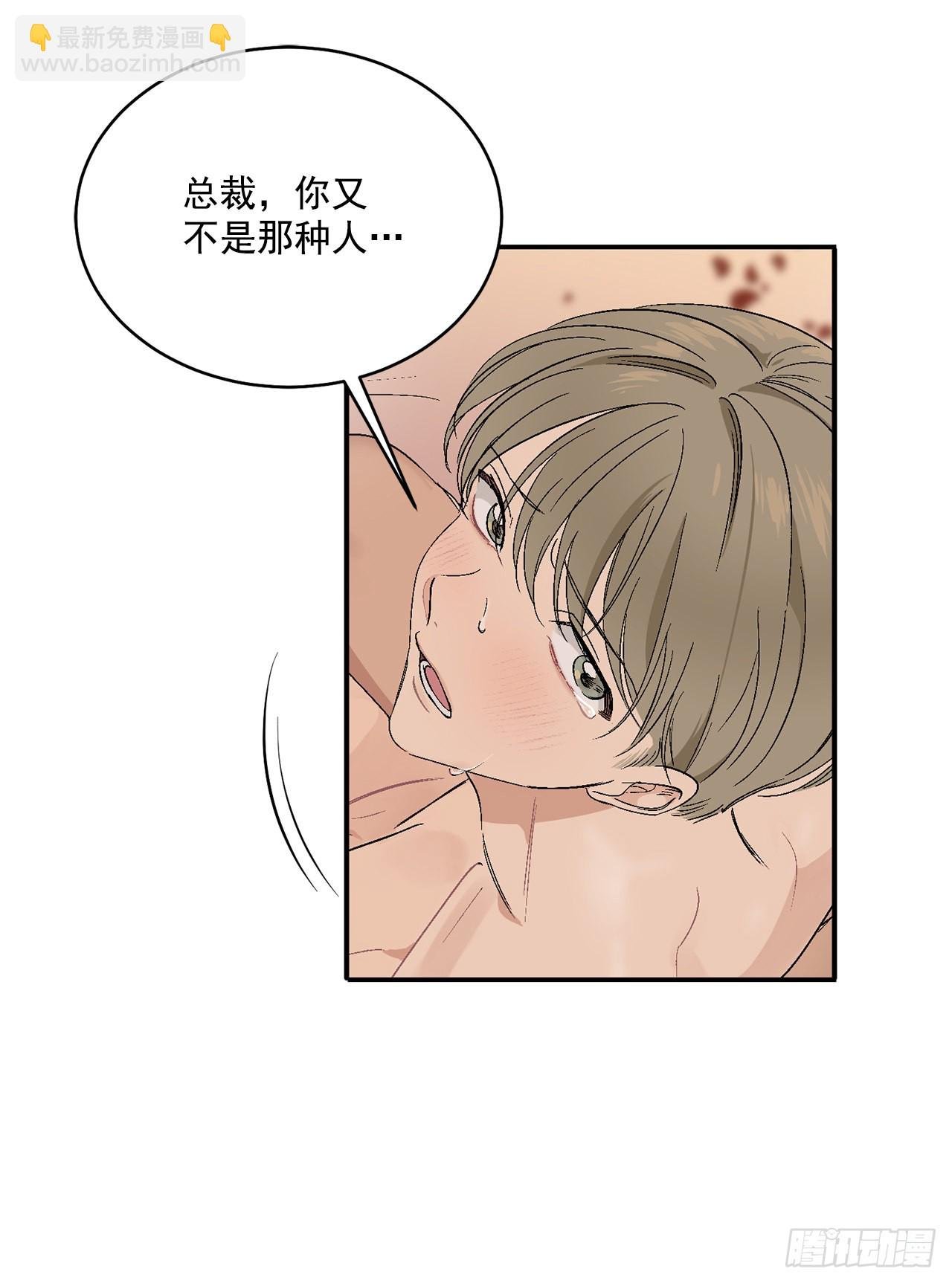 37.总裁的喜好