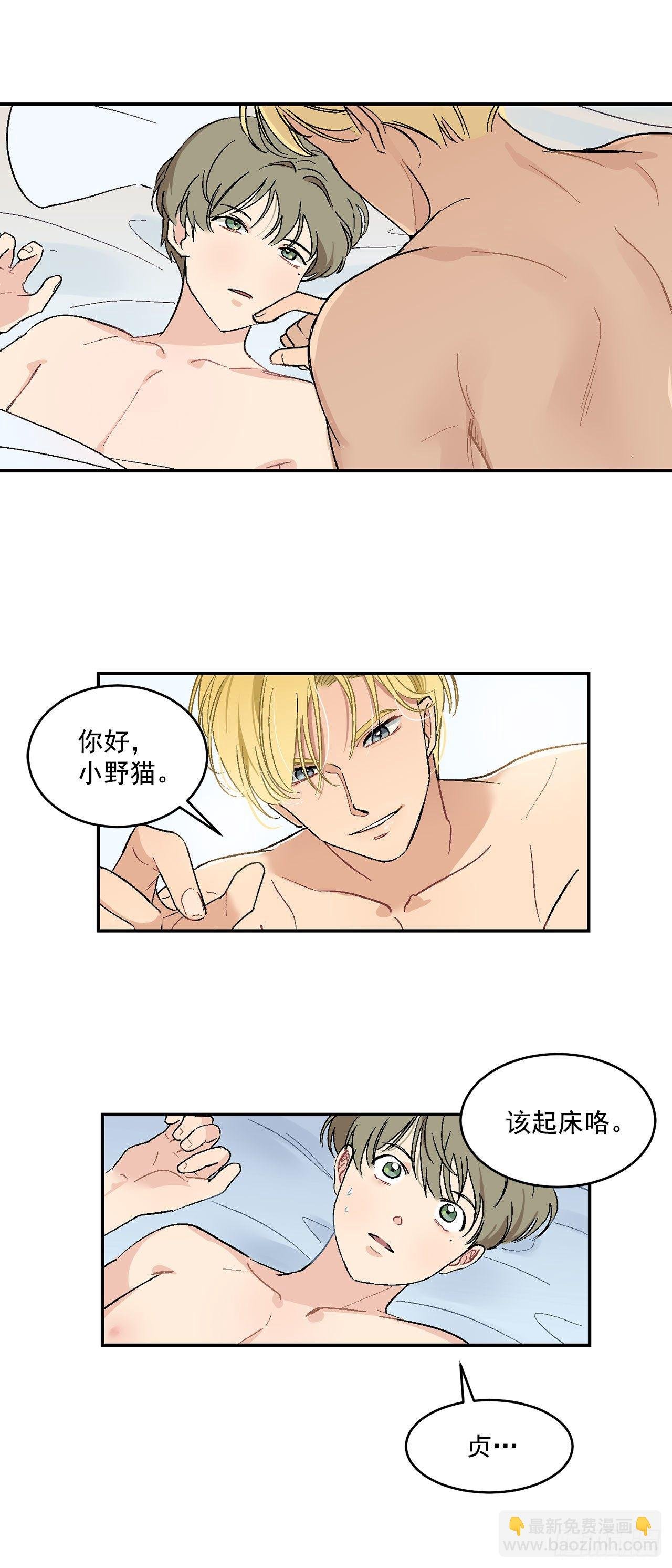4.自由面试