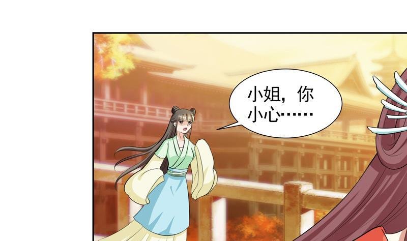 第2话 撞入他怀