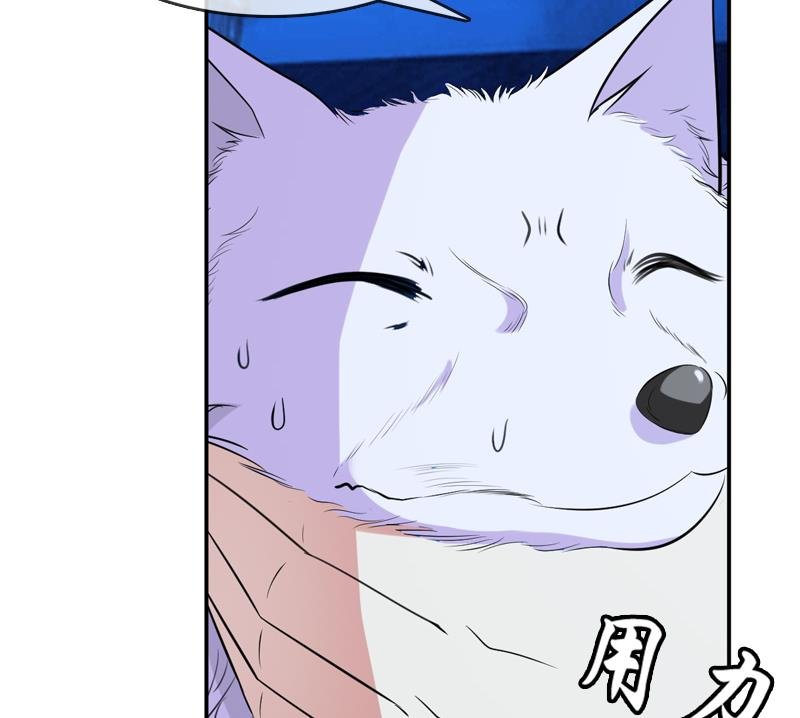 第22话 花魁背后的阴谋
