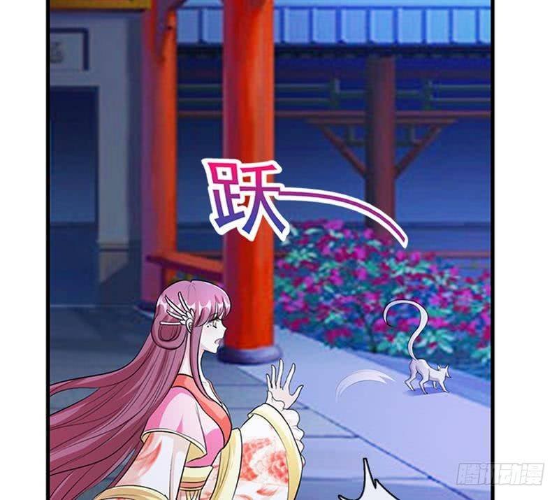 第7话 后宫的秘密