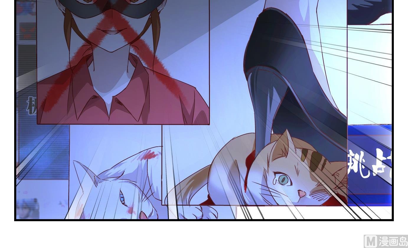 第40话 直播篇