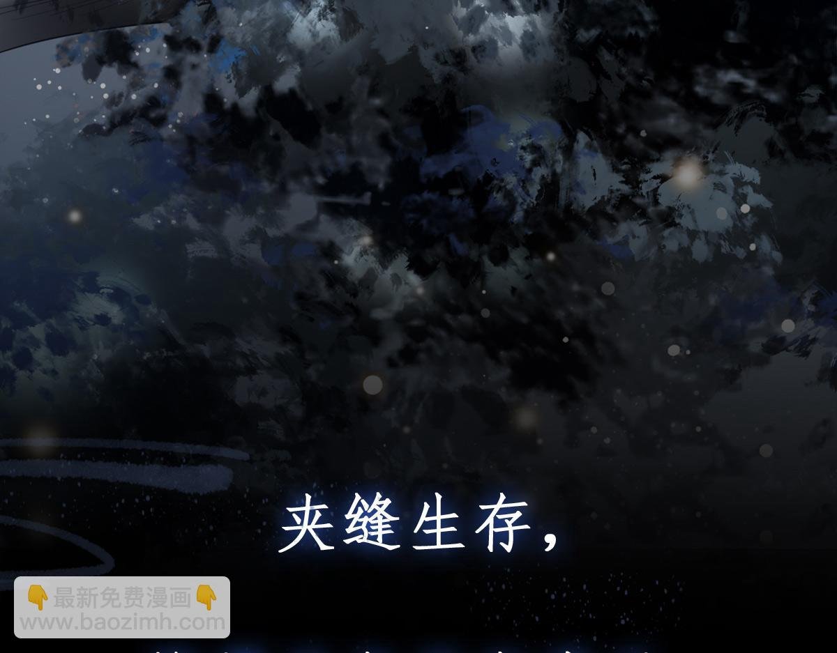 新作《凤凰于飞》百集爆更