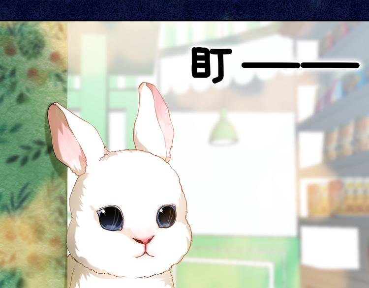 第87话 兔子般的她