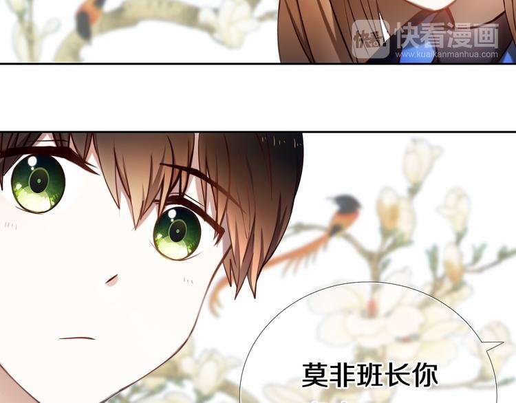 第88话 抓星星的人