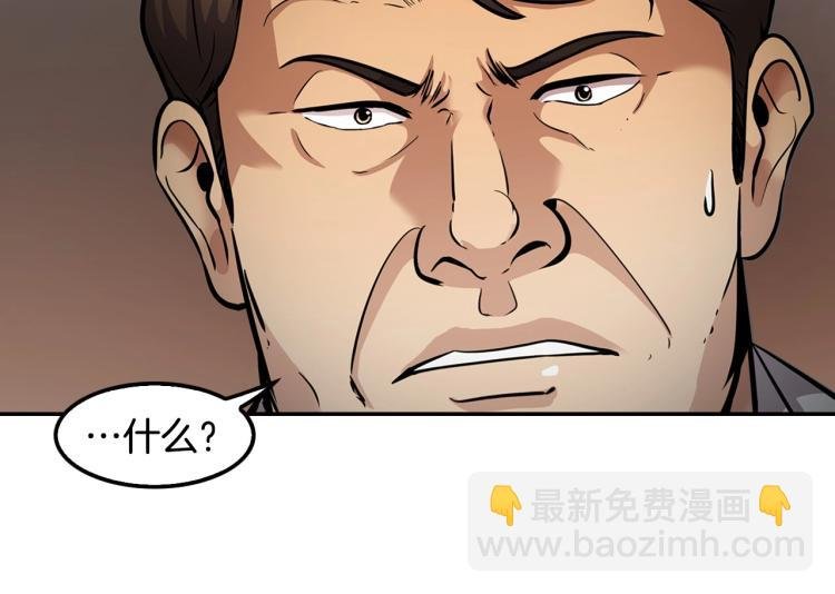 第113话 收购计划