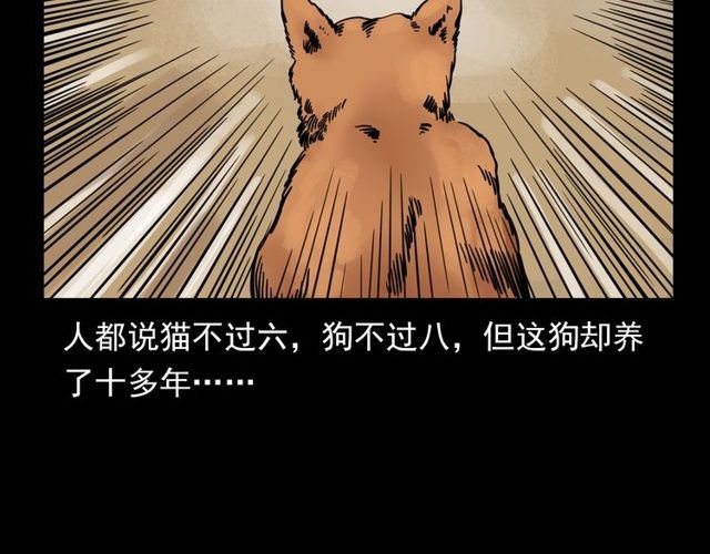 第116话 三脚猫！