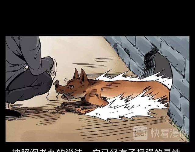 第116话 三脚猫！
