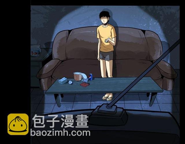 第118话 电视