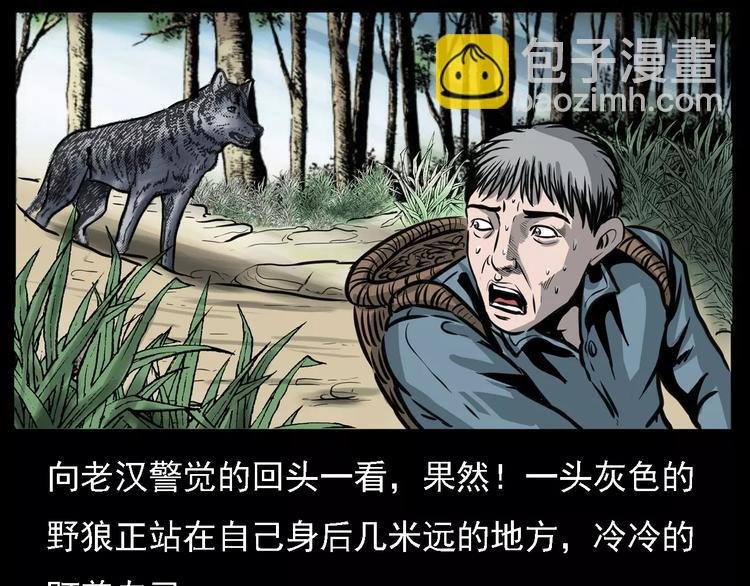 第13话 深山神犬