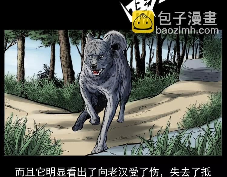 第13话 深山神犬