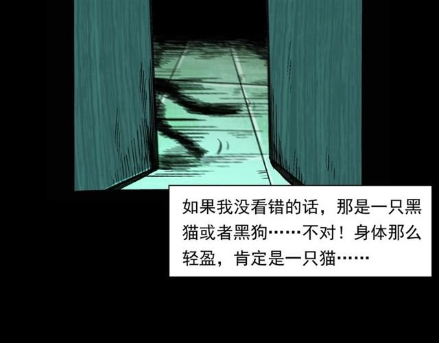 第159话 医院里的黑猫