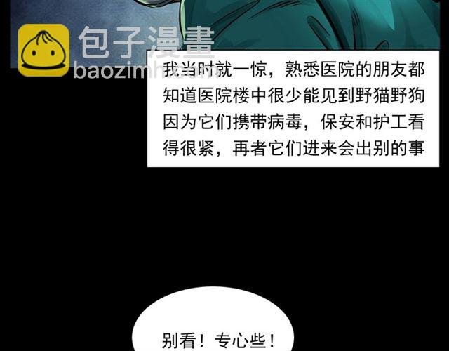 第159话 医院里的黑猫